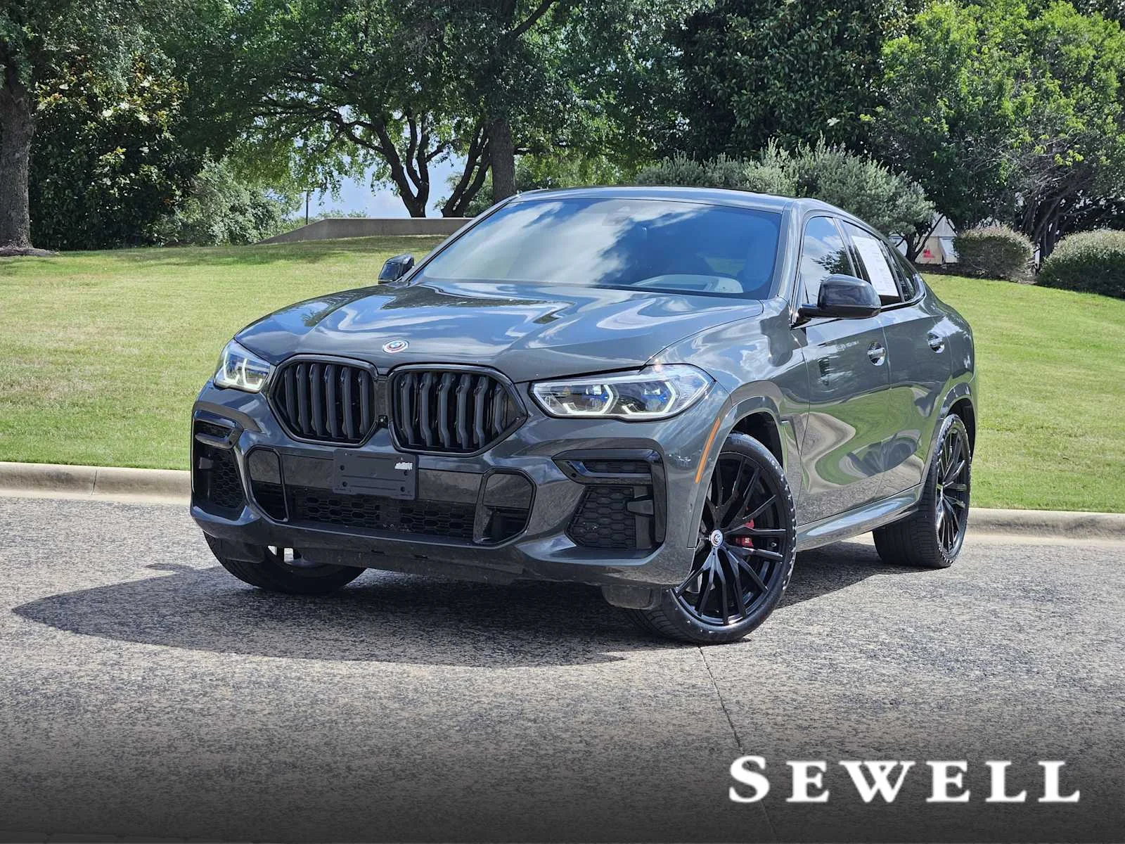 2023 BMW X6 M50i's photo