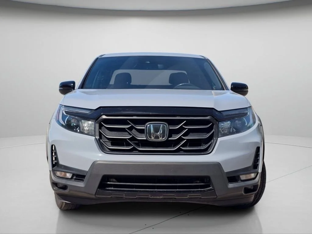 Used 2022 Gray Honda Black Edition image 3