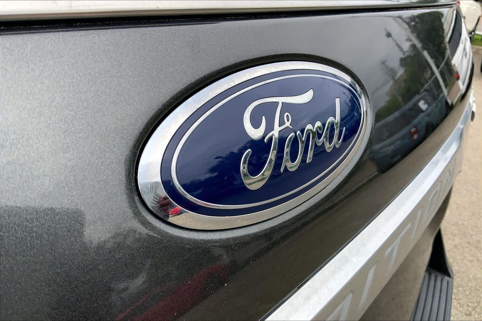 Used 2019 Magnetic Metallic Ford Platinum image 10