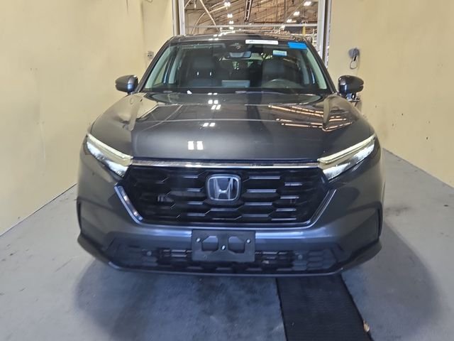 Used 2023  Honda EX-L image 6
