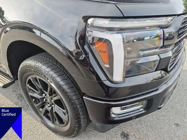 Used 2025 Black Ford Platinum image 9