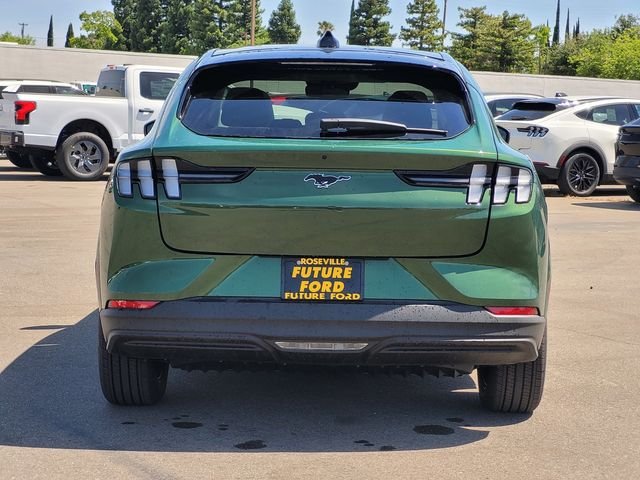 New 2026 Green Ford Premium image 5