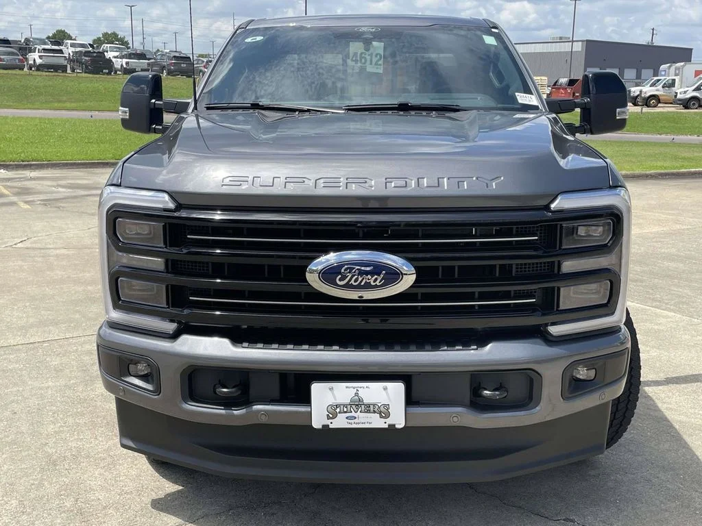 New 2026 Carbonized Gray Metallic Ford Platinum image 8