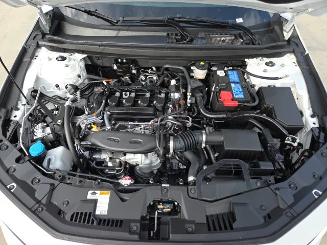 New 2026 Platinum White Pearl Honda SE image 6
