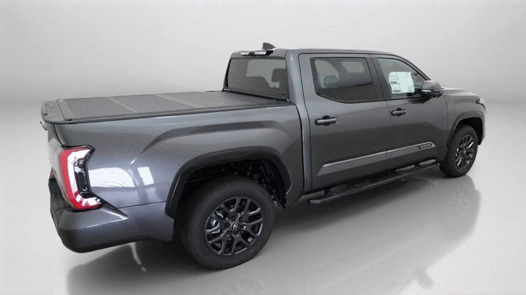 New 2026 Magnetic Gray Metallic Toyota Platinum image 9