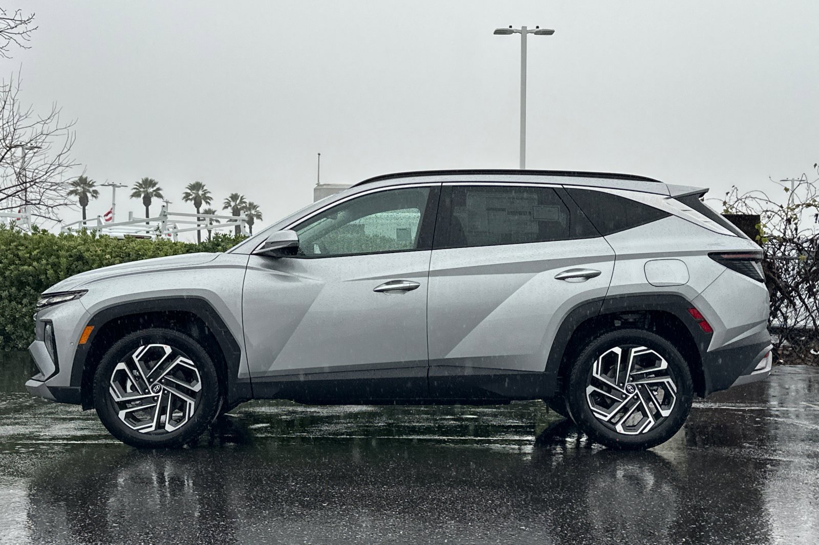 New 2026 Shimmering Silver Hyundai Limited image 7