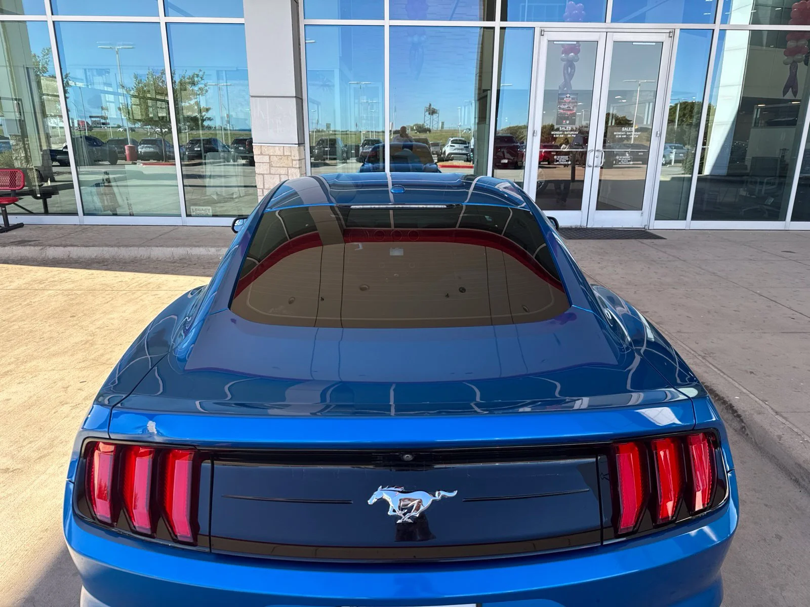 Used 2019 Blue Ford EcoBoost image 14