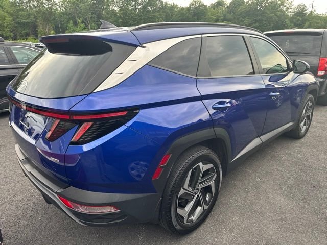 Used 2023 Blue Hyundai SEL image 5