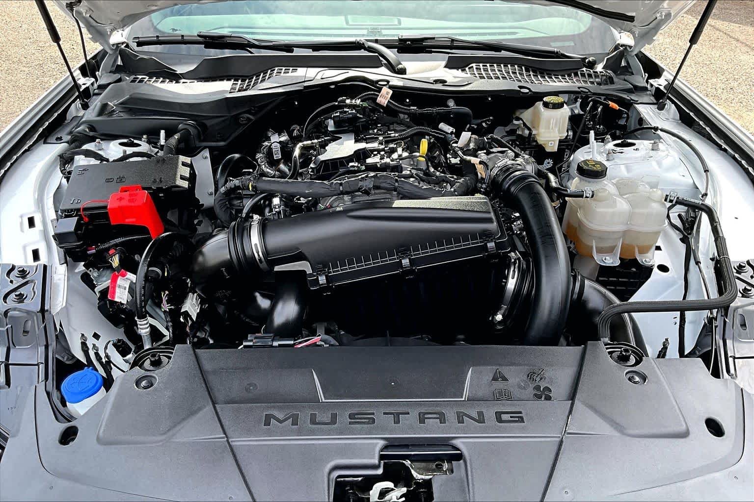 Used 2025 Oxford White Ford EcoBoost image 32