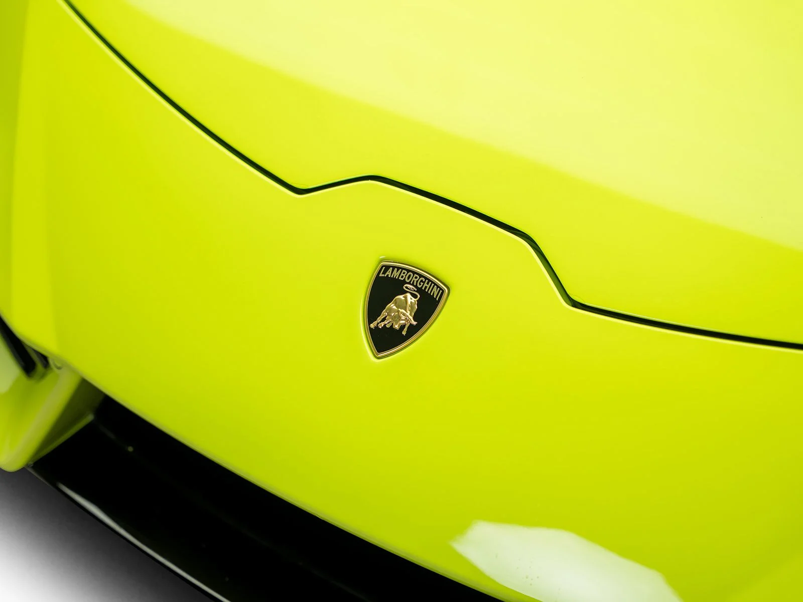 Used 2019 Beige Lamborghini LP580-2 image 5