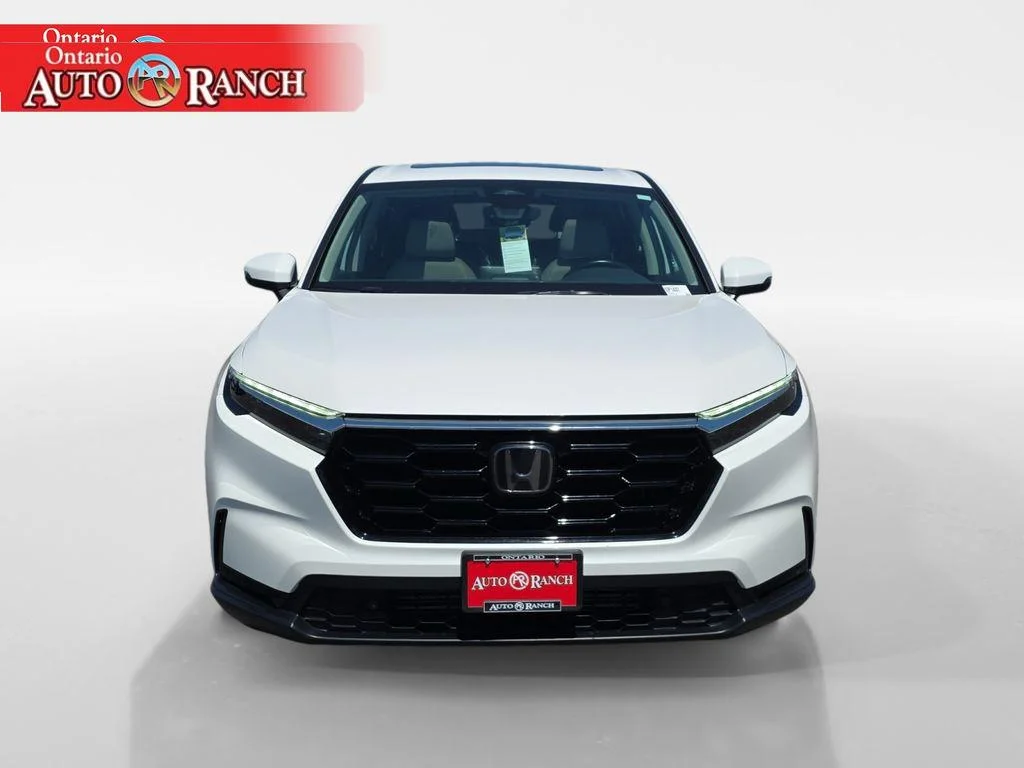 Used 2025 WHITE Honda EX-L image 8