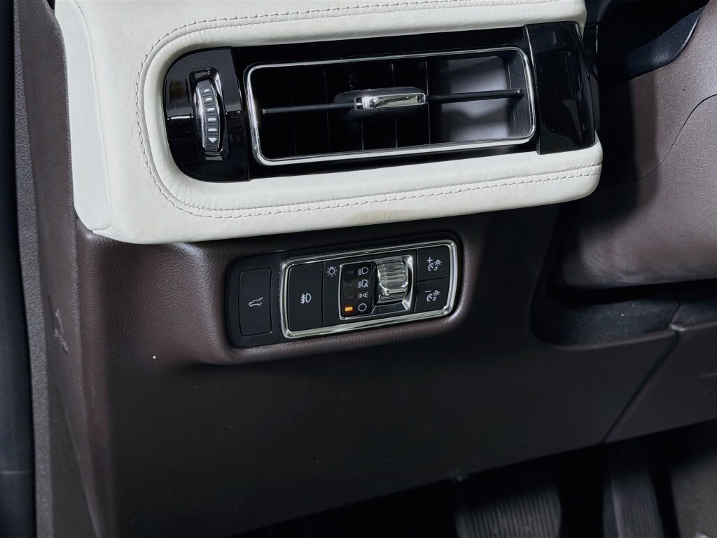 Used 2020 Radiance Metallic Lincoln Black Label image 10