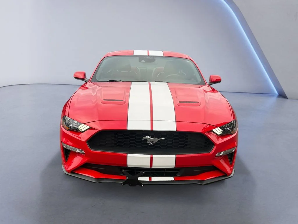 Used 2021 Red Ford EcoBoost Premium image 9