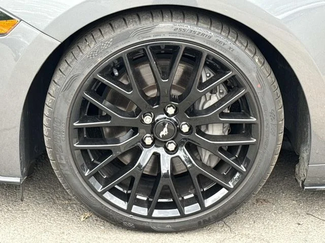 Used 2023 Gray Ford GT Premium image 11