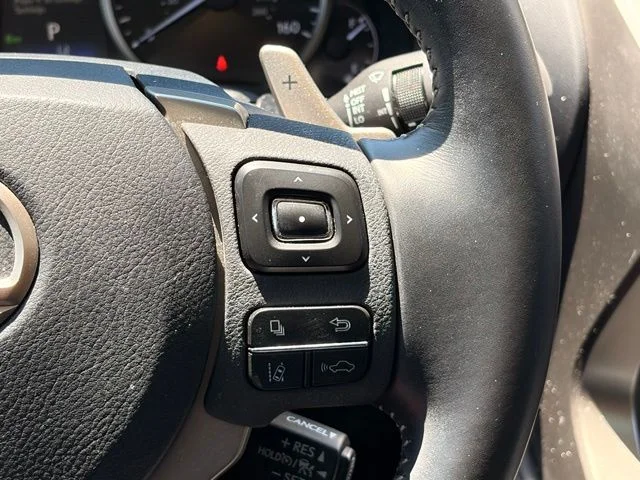 Used 2019 Black Lexus 300 Base image 13
