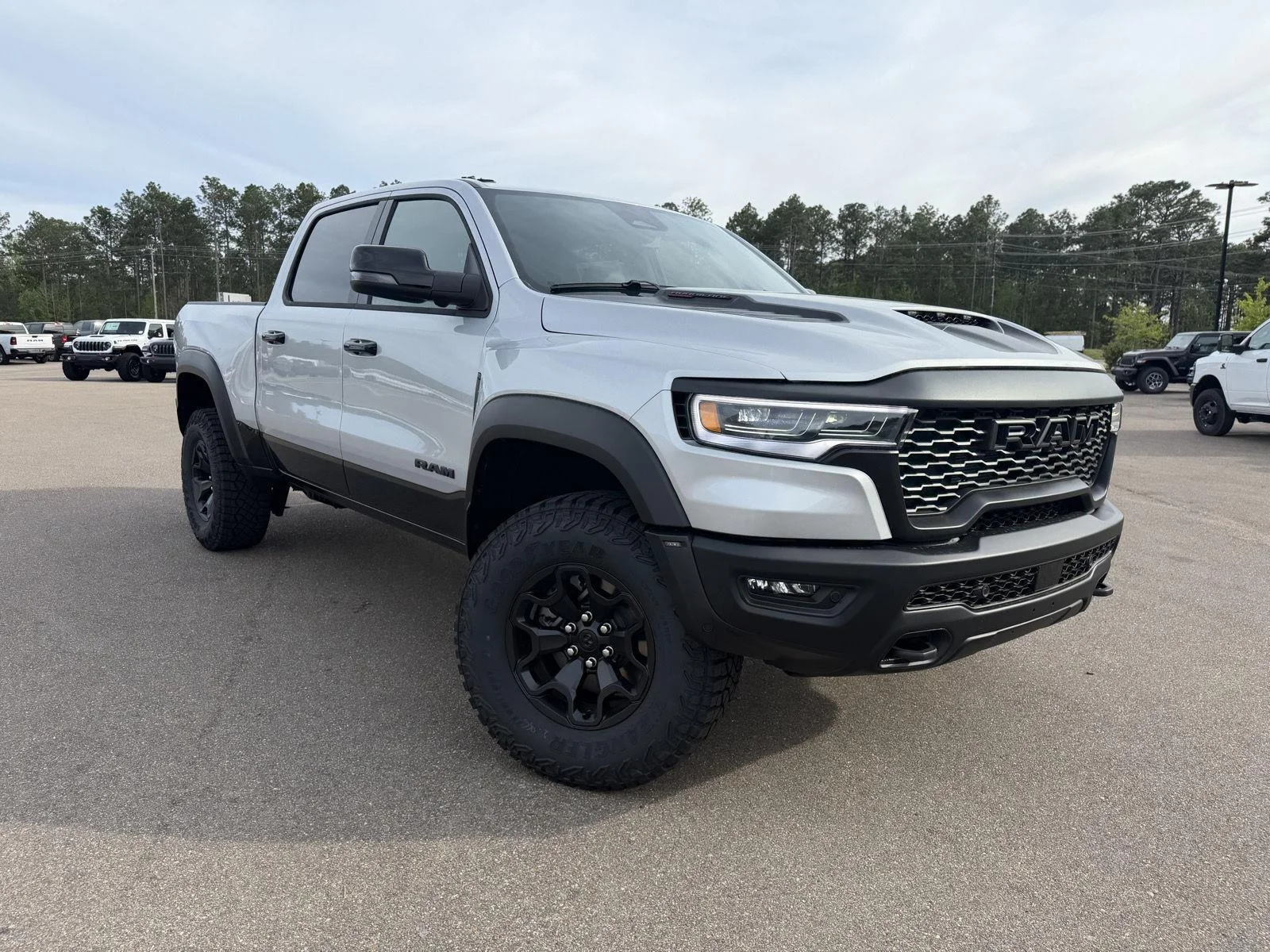 New 2026 Silver Zynith Exterior Paint RAM RHO image 3