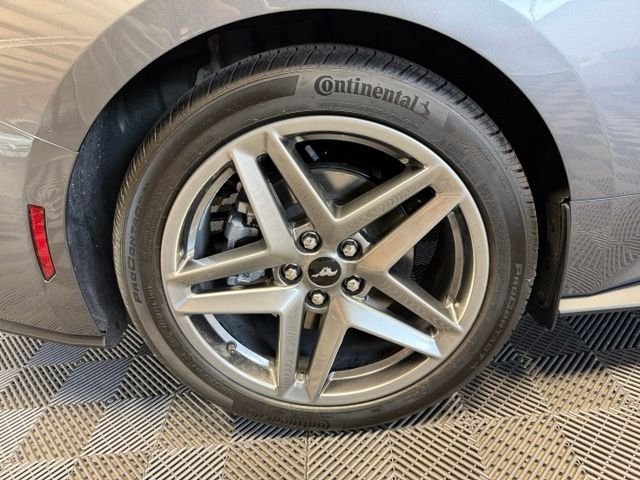 New 2026 Carbonized Gray Metallic Ford EcoBoost® Fastback image 34