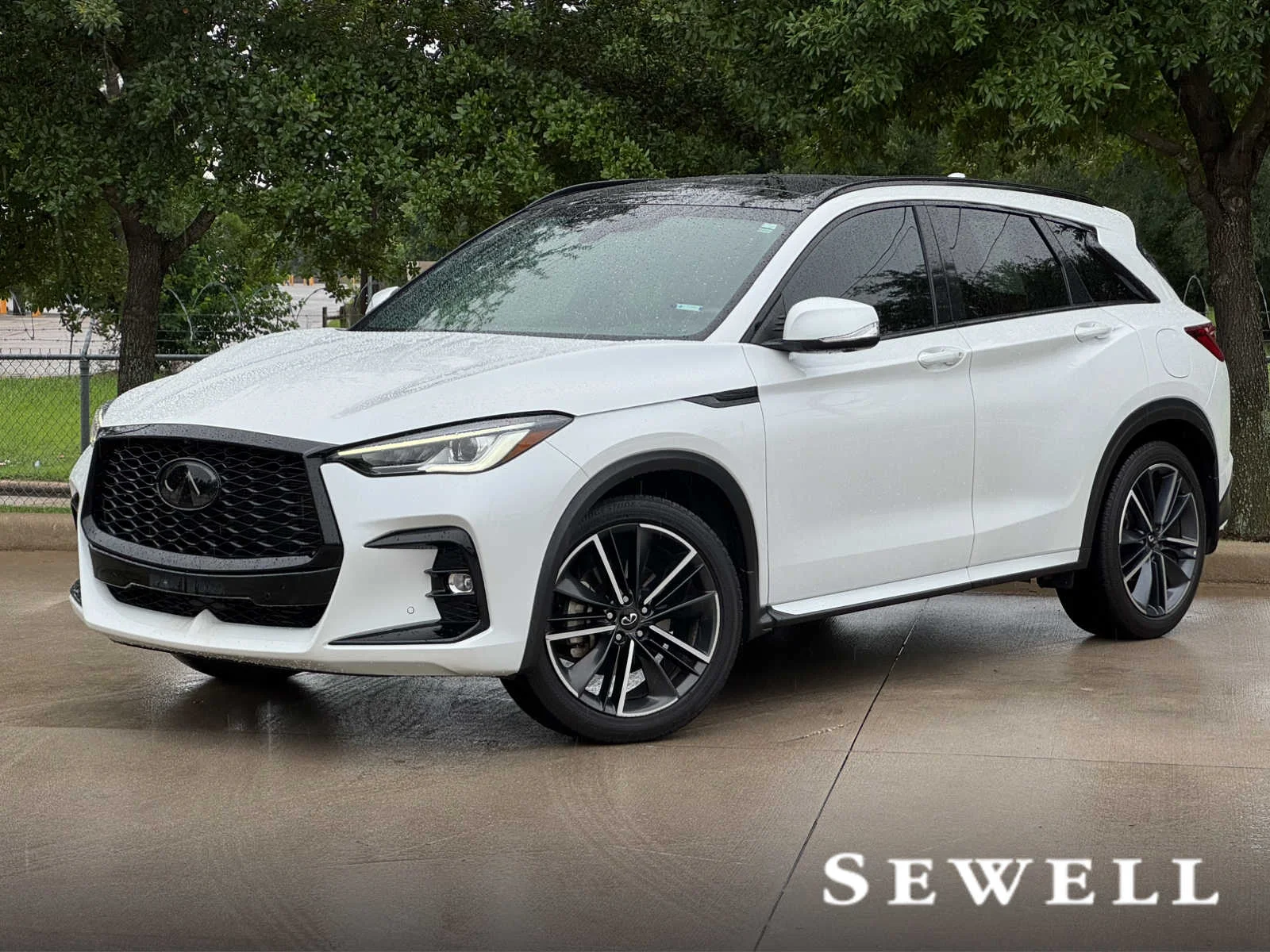 2023 INFINITI QX50 Sport FWD's photo