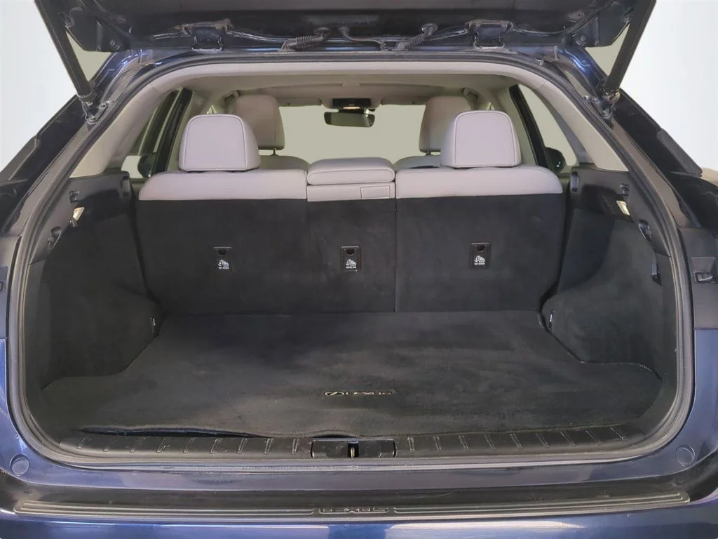 2021 Lexus RX 350 - Photo 14