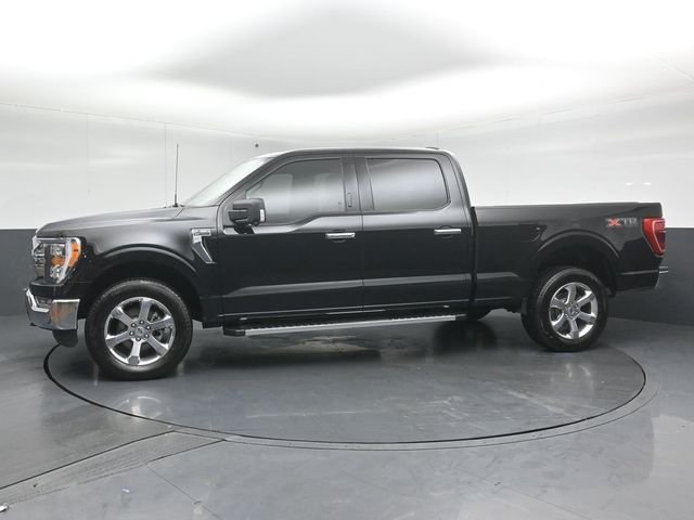 2023 FORD F-150 - Image 3