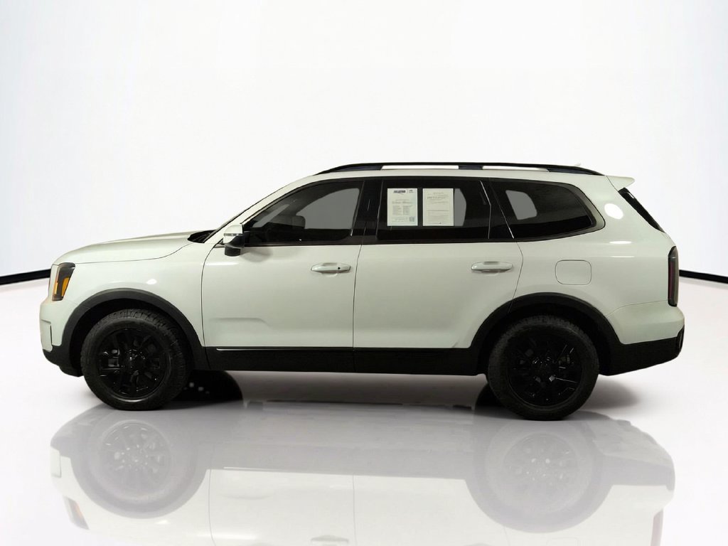 2025 Kia Telluride EX X-Pro - Photo 10