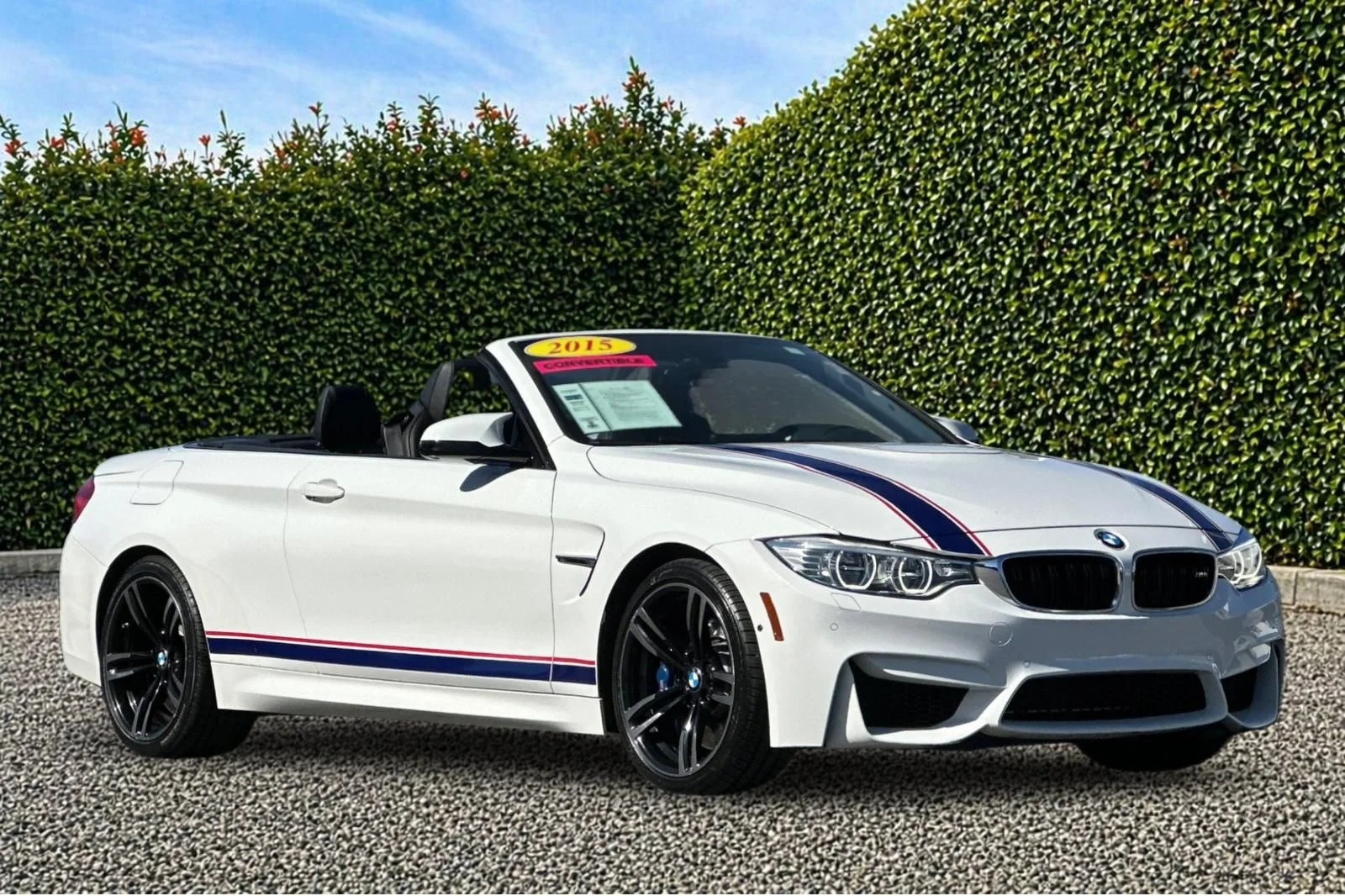 2015 BMW M4 -'s photo