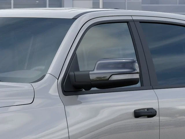 New 2026 Silver Zynith Exterior Paint RAM Rebel image 12