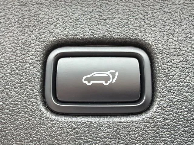 Used 2023 Black Kia SX-Prestige image 19