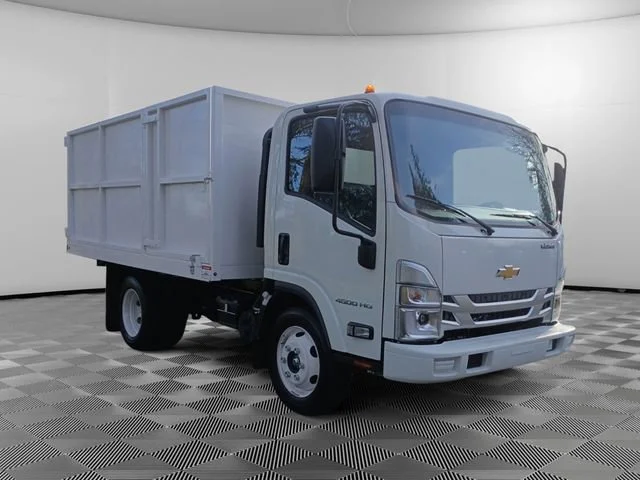 New 2025 Arc White Chevrolet  image 7