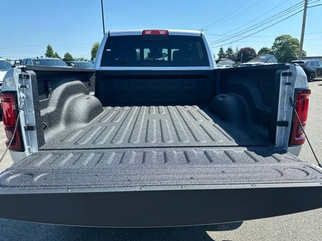 New 2026 Silver-Zynith Exterior Paint RAM  image 14