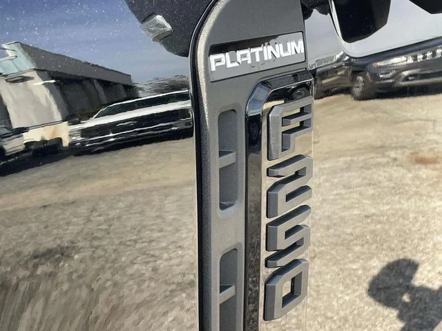 New 2026 Black Ford Platinum image 22