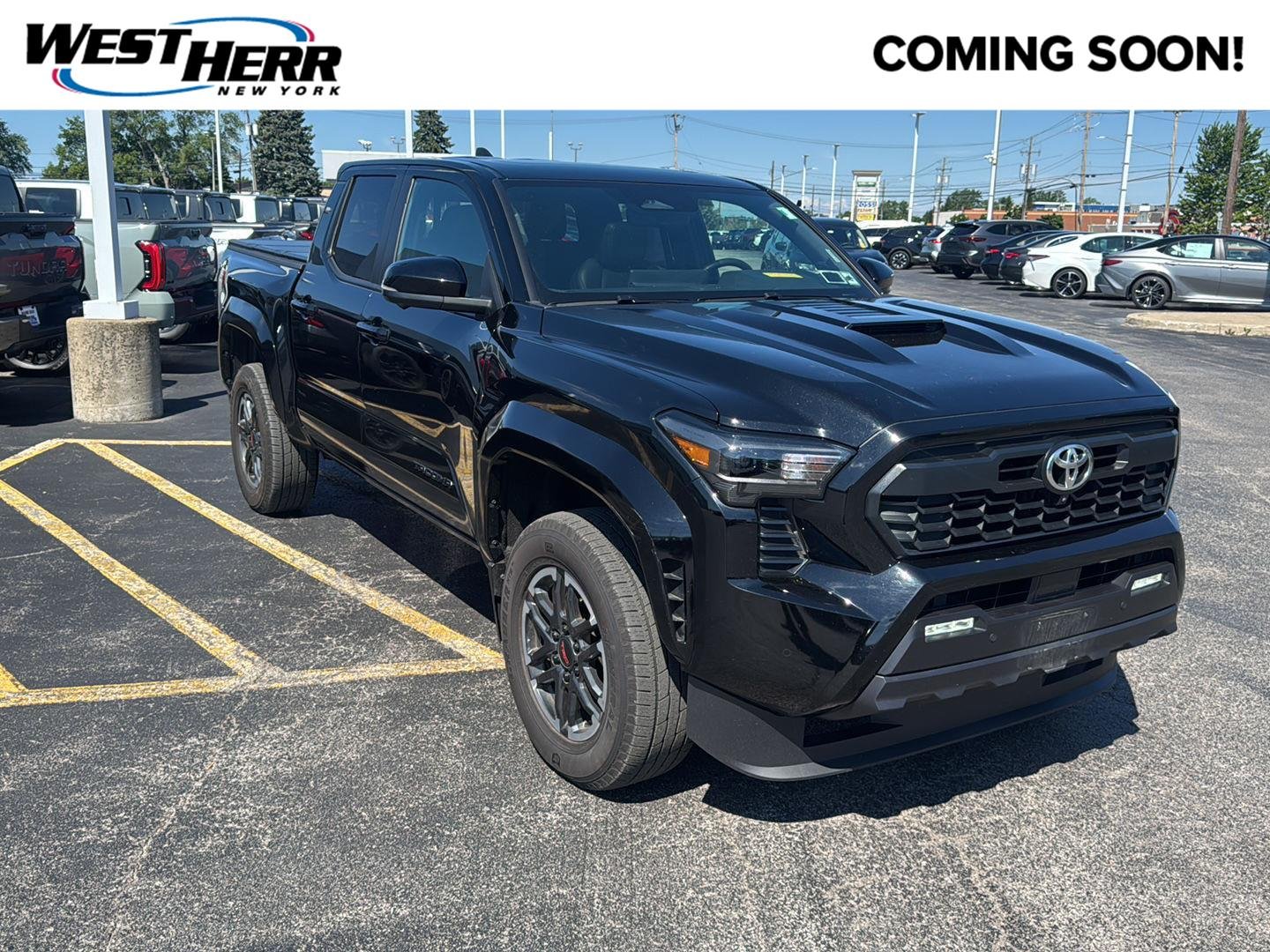 Used 2024 Black Toyota TRD Sport image 1