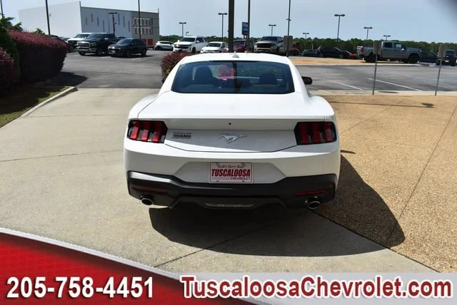 Used 2025 White Ford EcoBoost Fastback image 8