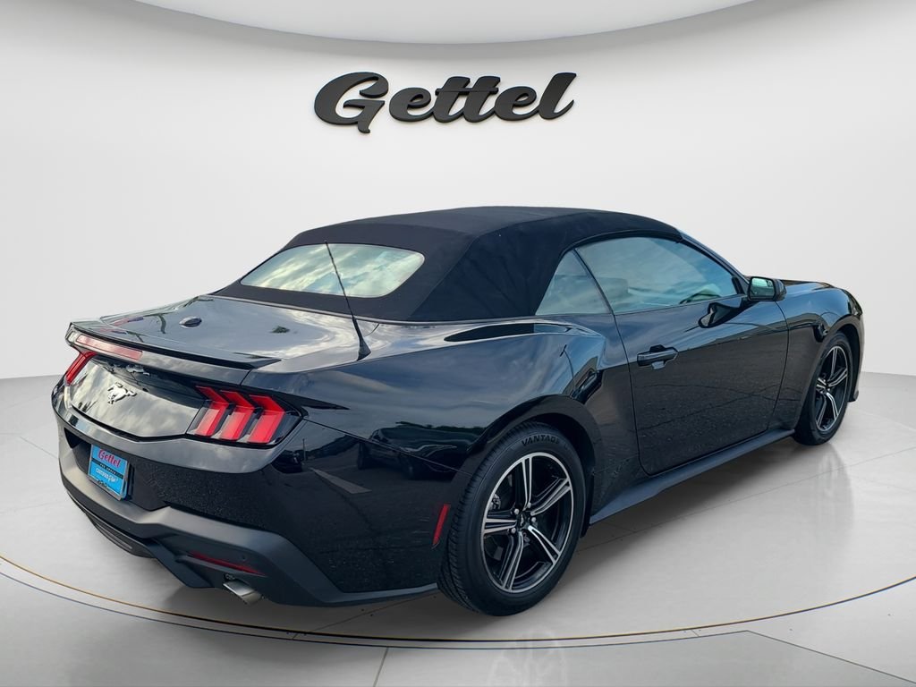 Used 2024 Black Ford EcoBoost Premium image 5