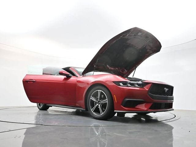 Used 2024 Red Ford EcoBoost Premium image 30