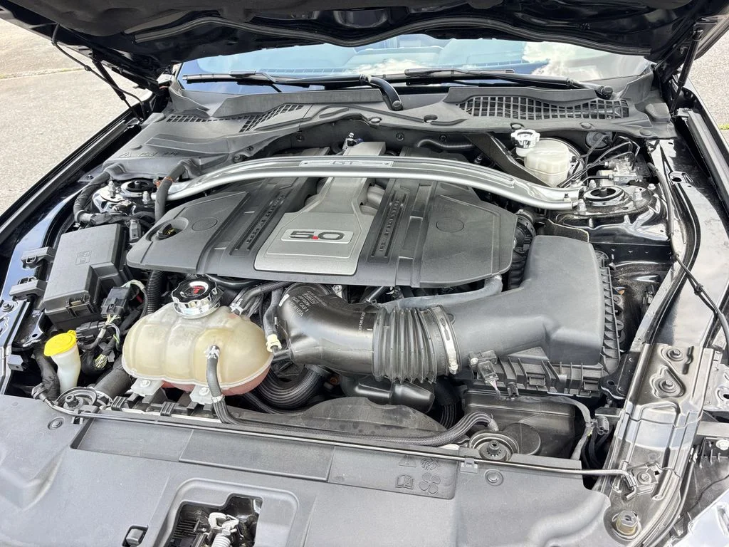 Used 2019 Black Ford GT Premium image 14