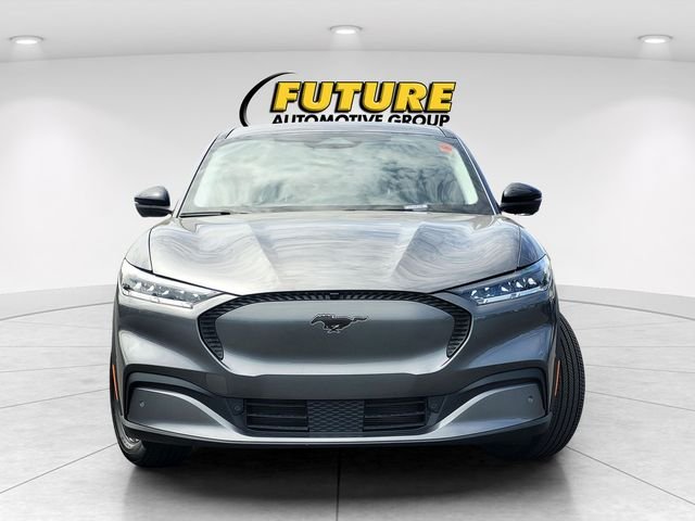 Used 2023 Gray Ford Select image 2