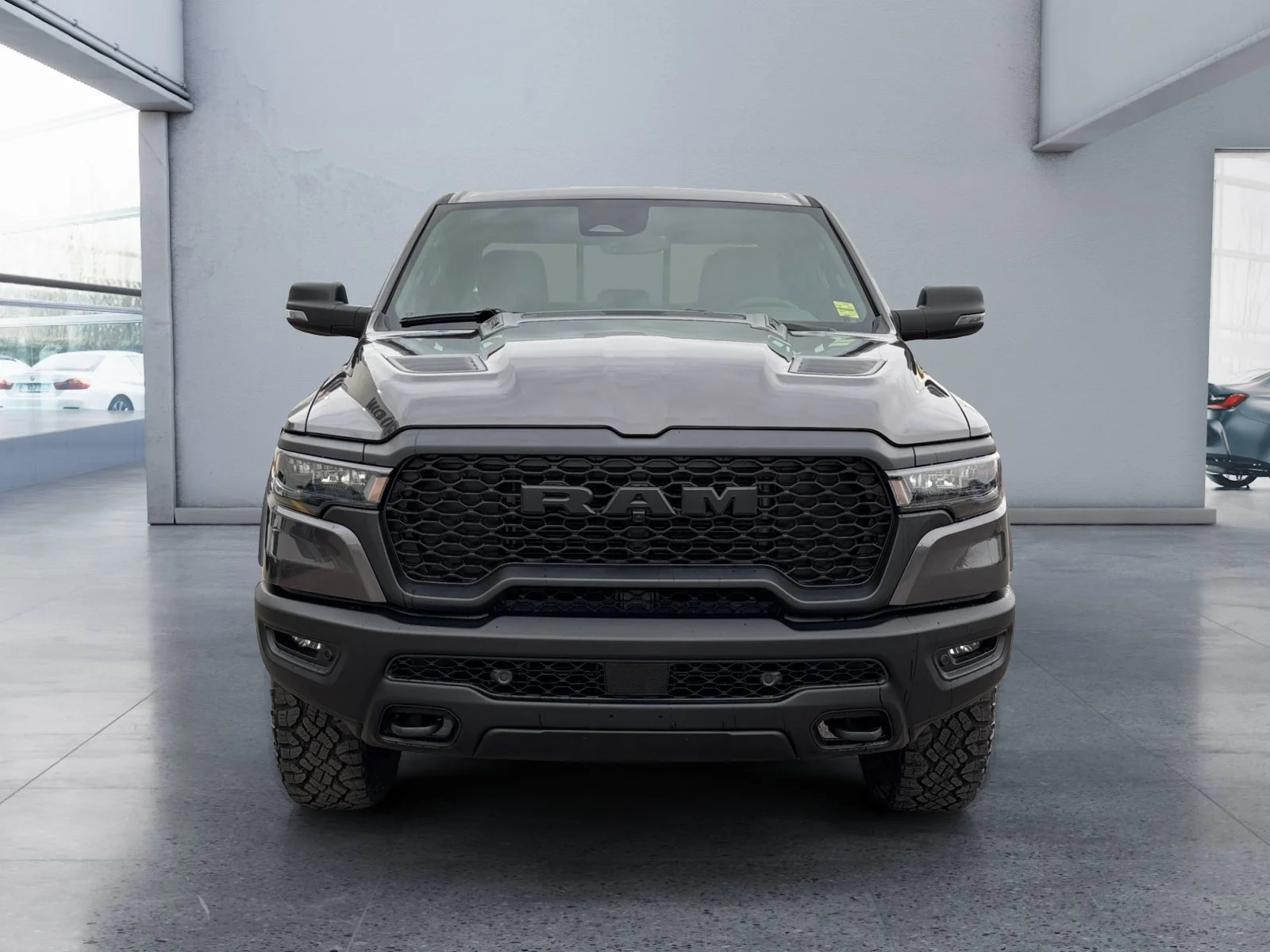 New 2027 Granite Crystal Metallic Ram Rebel image 8