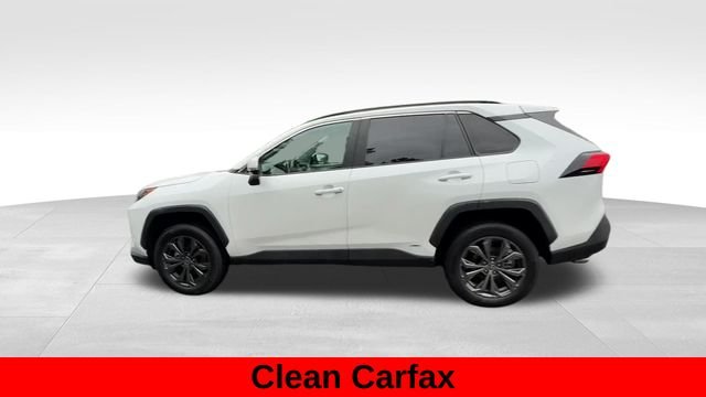 Used 2025 Beige Toyota XLE Premium image 3