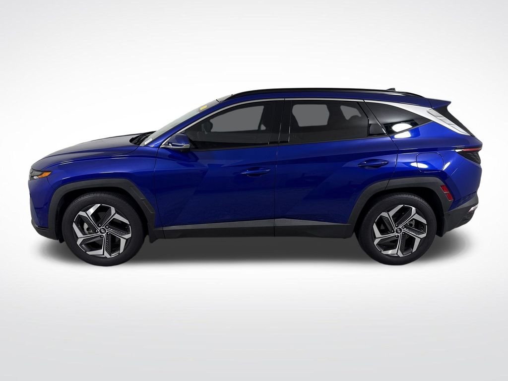 Certified Used 2023 Blue Hyundai Limited image 8