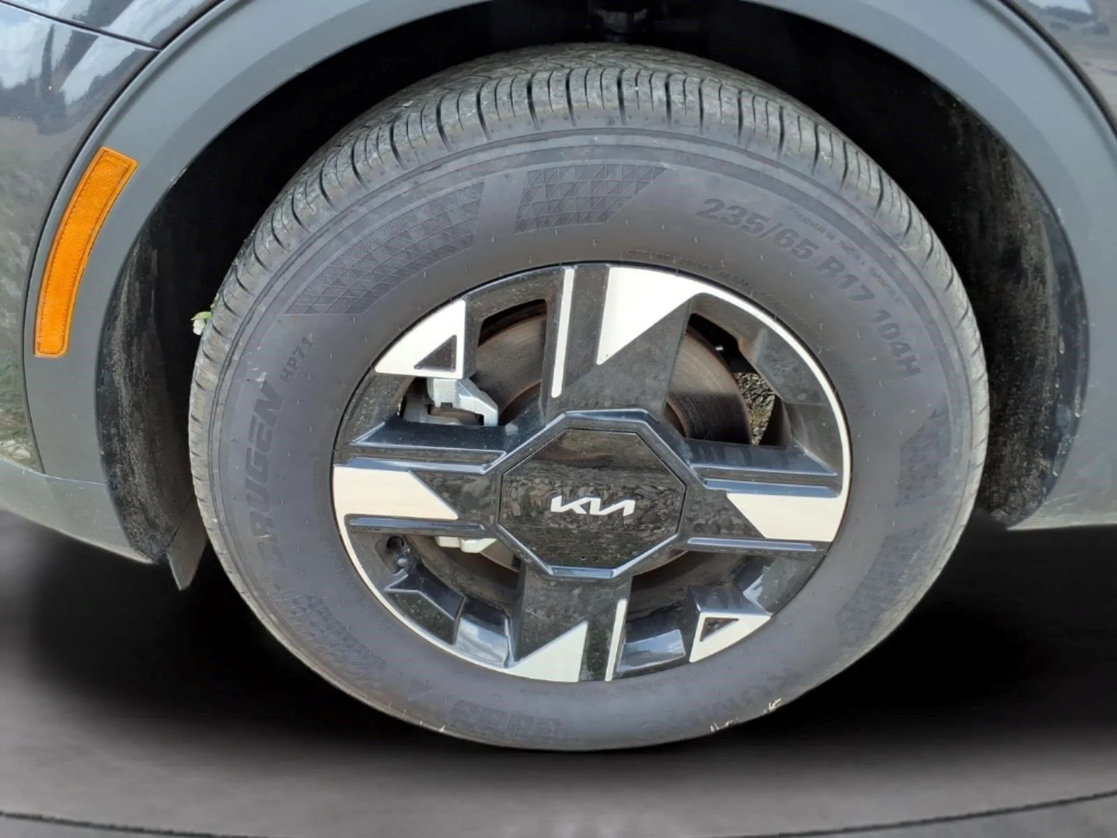 Used 2026 Panthera Metal Kia LX image 9