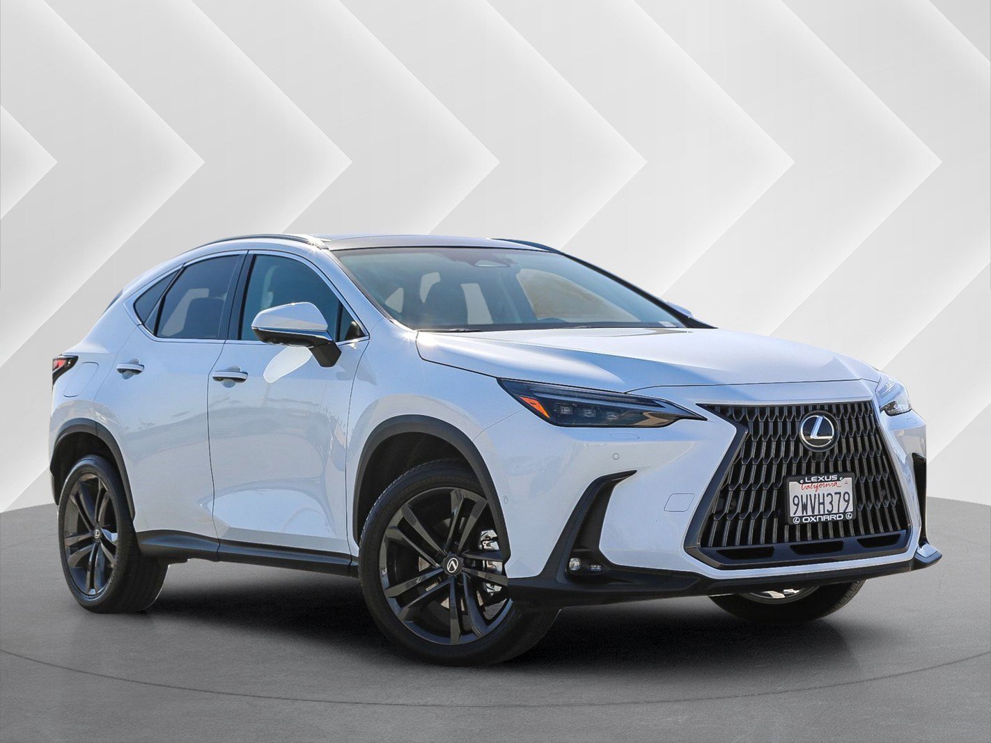 2026 Lexus NX
