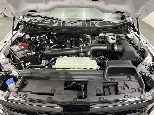 New 2026 Oxford White Ford XLT image 19