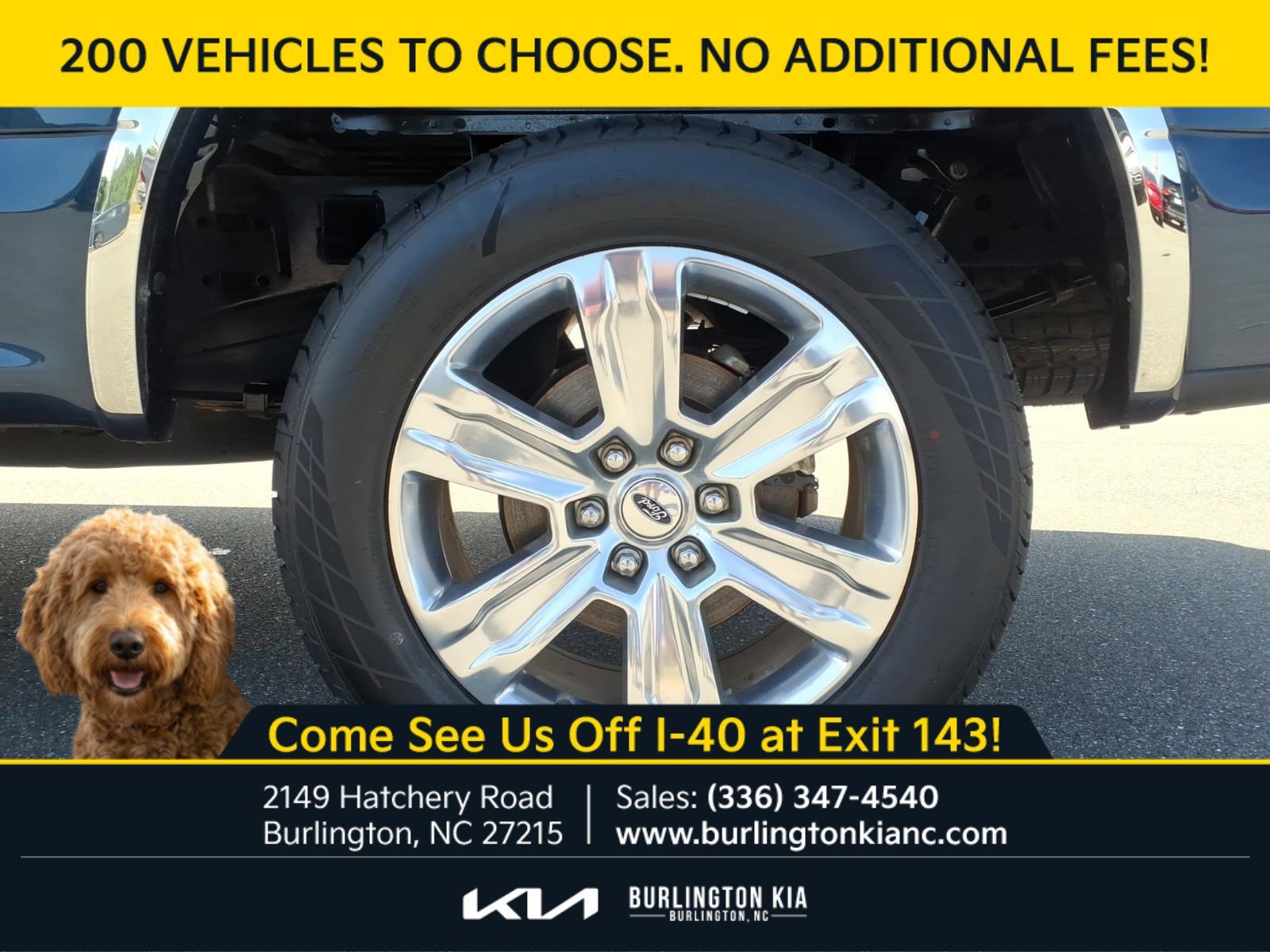 Used 2020 Blue Ford Platinum image 23