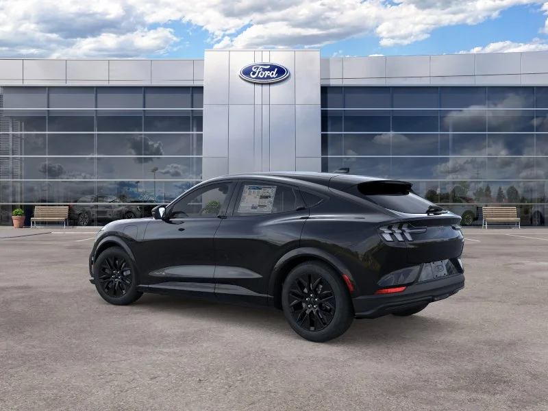 New 2026 Shadow Black Ford Premium image 21