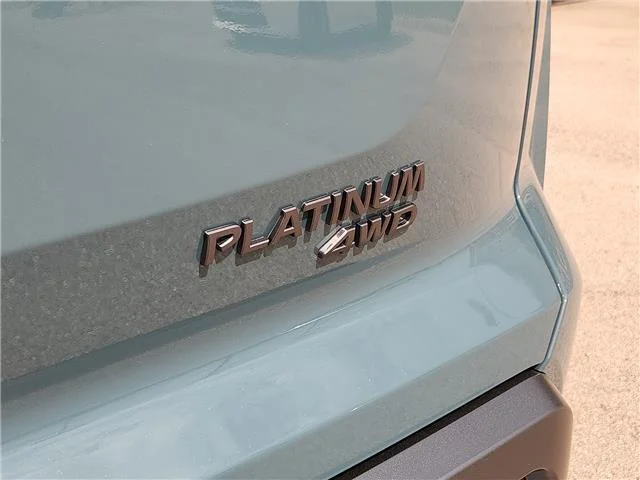 New 2026 FAQ Baltic TEA Nissan Platinum 4x4 image 6