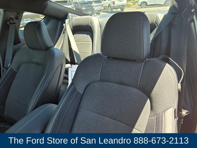 2025 Ford Mustang EcoBoost Fastback - Photo 15