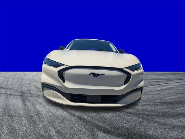 New 2026 Beige Ford Premium image 8