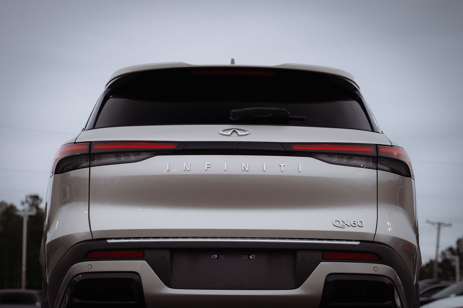 2023 INFINITI QX60 LUXE - Photo 9