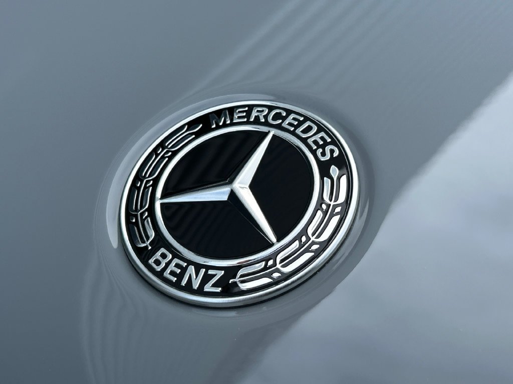 New 2027 MANUFAKTUR Alpine Grey Mercedes-Benz GLE 450 image 29